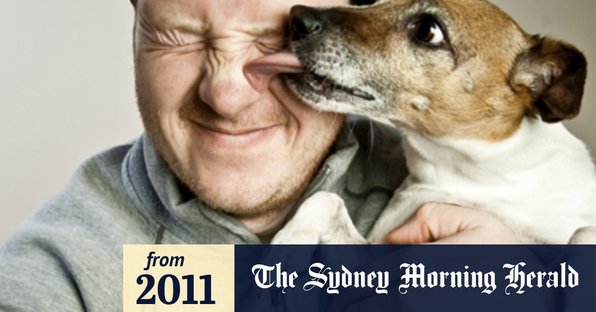 Puppy lovers' salmonella risk